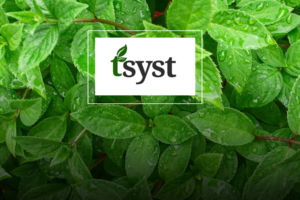 tsyst