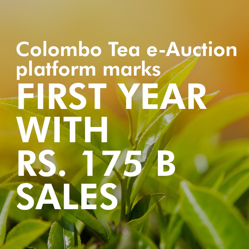 CICRA Solutions’ Colombo Tea e-Auction platform marks first year with Rs. 175 b sales